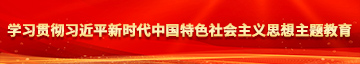 干日本美女女小B网站学习贯彻习近平新时代中国特色社会主义思想主题教育